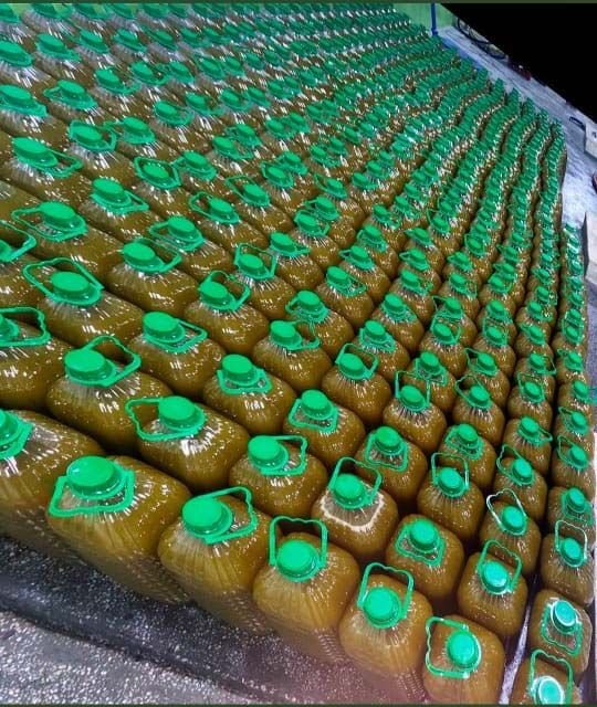Large batch of olive oil bottles